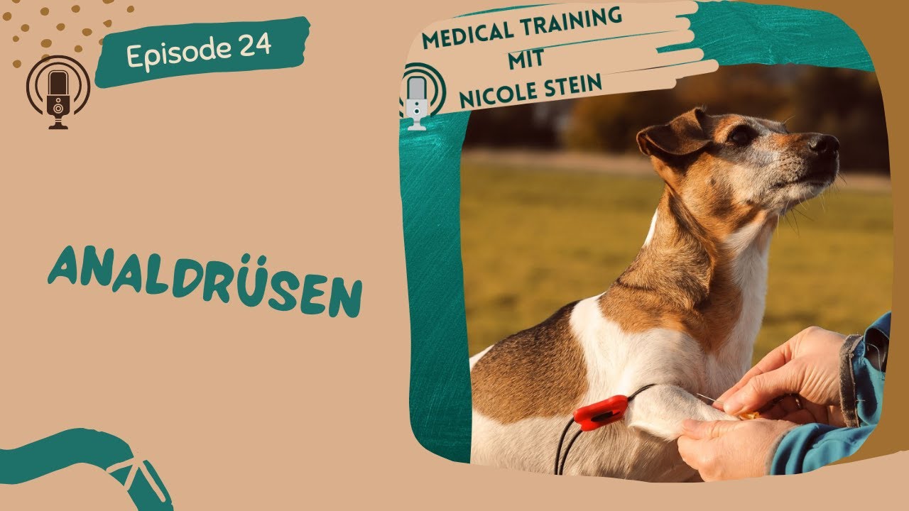 Analdrüsen