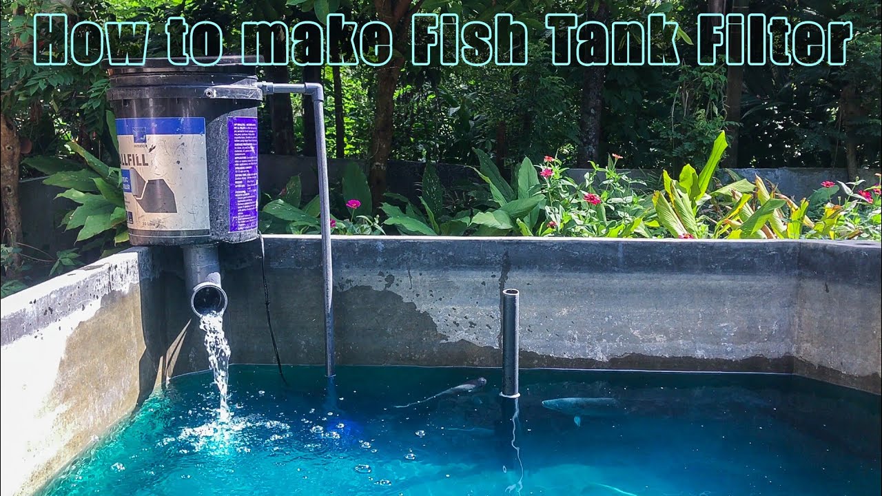 How To Make a Fish Tank Filter at Home
