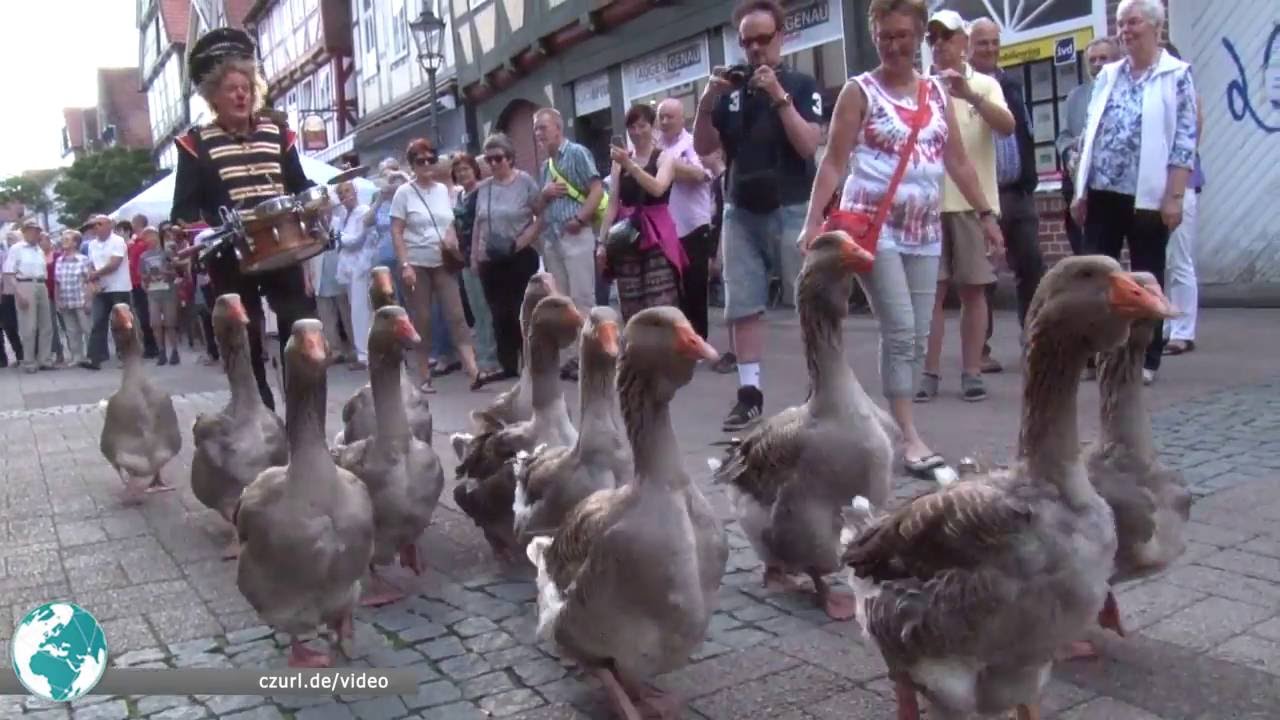 Celler Streetparade 2016