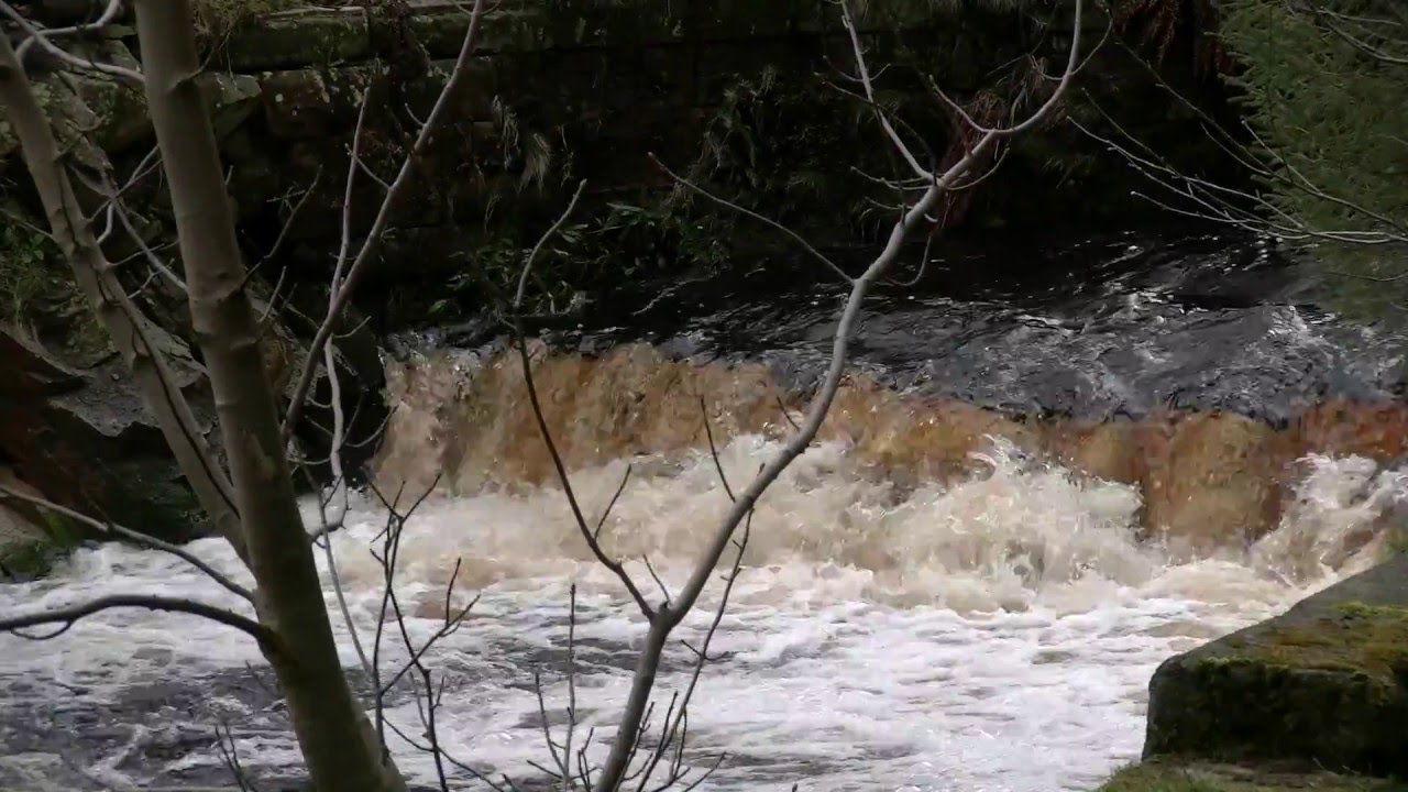 Langden Brook, Trough of Bowland, 5th April 2016