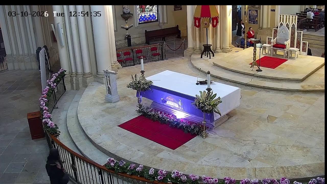 Transmisión Eucaristía Basílica de Lourdes   2026