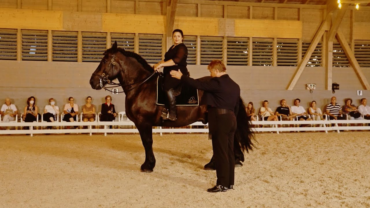 Marty Stables meets Oliveira Stables: 03 Unterrichtslektion von Heinz Marty