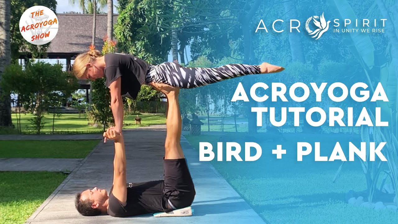 AcroYoga Tutorial (BIRD + PLANK) - Learn How to Acro Yoga for Beginners - The Acroyoga Show