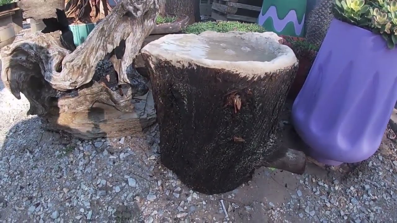 Making A Tree Trunk Bird Bath