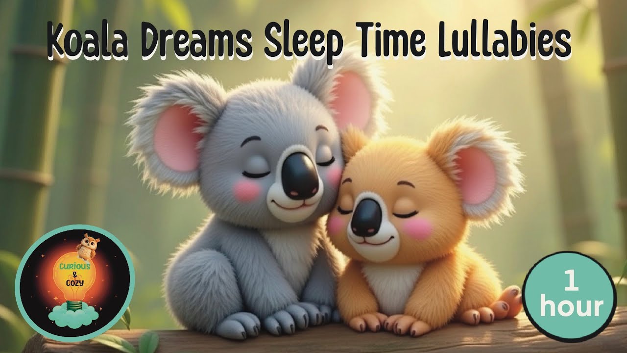 Koalas Dream Sleep Time  Videos for Kids | 5 Soothing Piano Lullabies