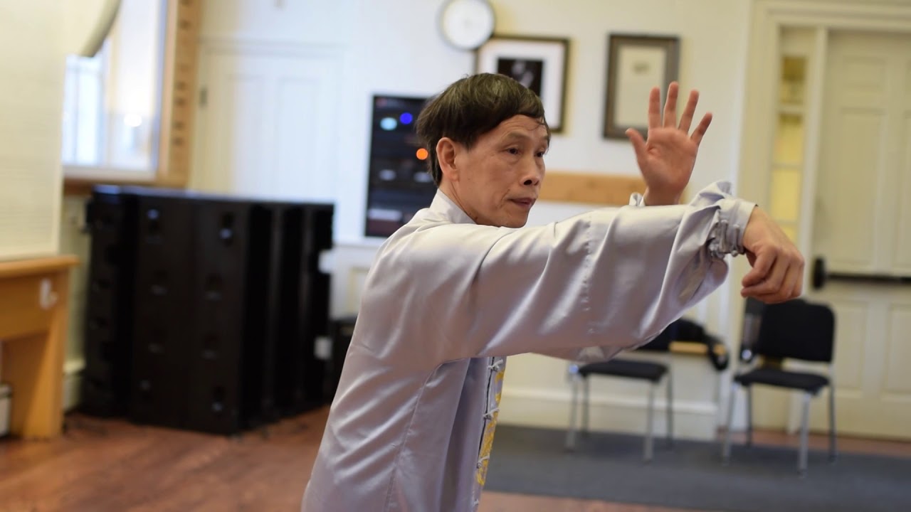 Meet Lin Zhantao, Erhu and Taichi Master