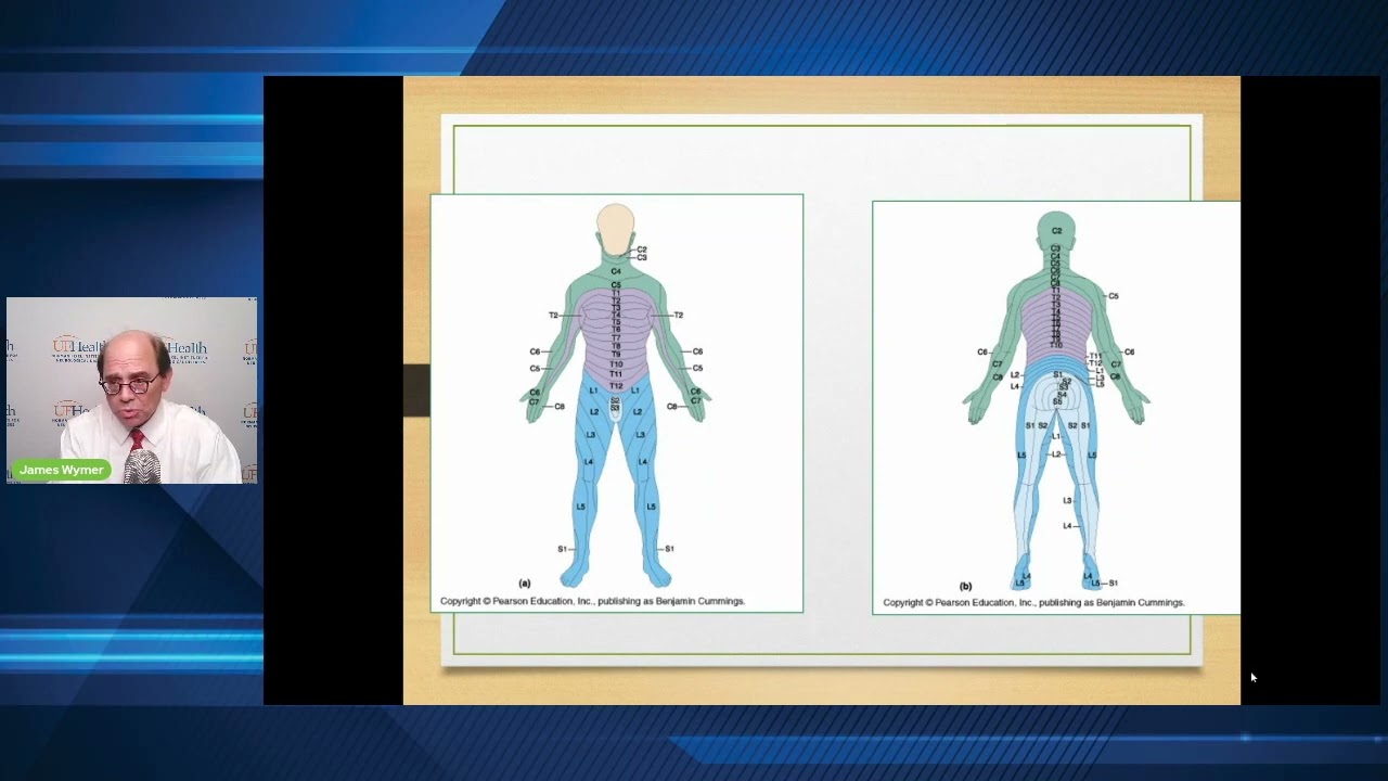 What is Cauda Equina Syndrome? The basics. Dr. James  Wymer, MD, Chief Medical Officer, CEF, Inc.