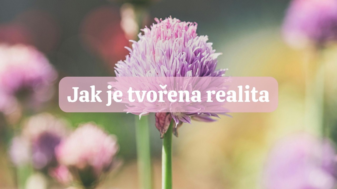 Jak je tvořena realita