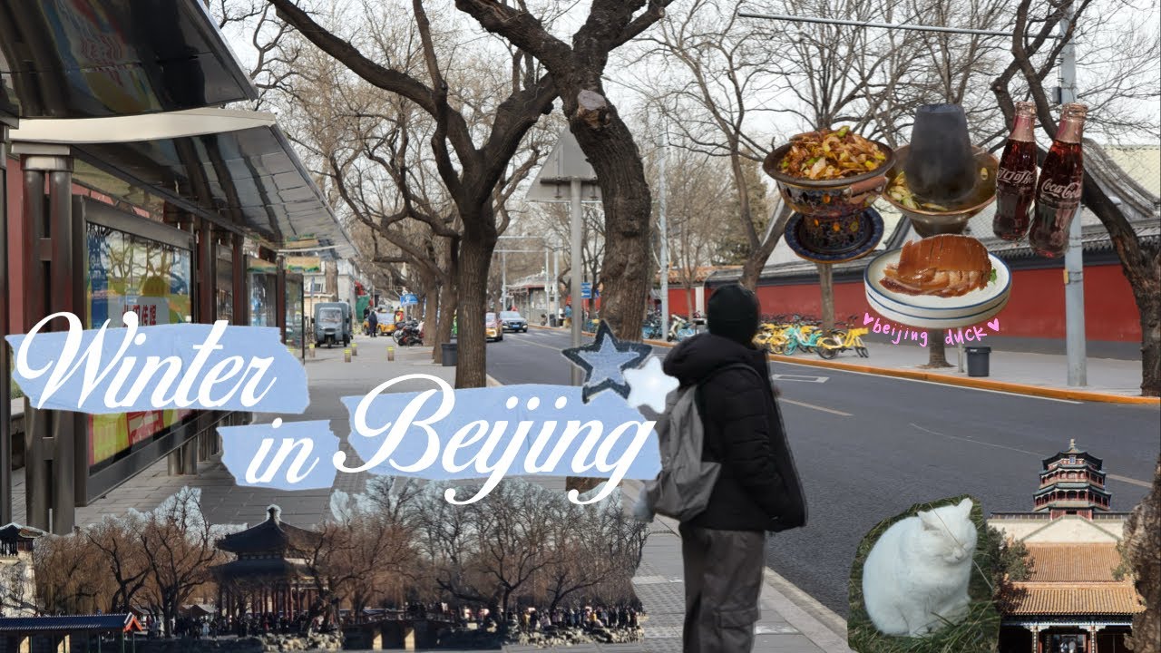 winter in beijing ❄️🥡🥢 | climbing the great wall of china, street food, beijing duck