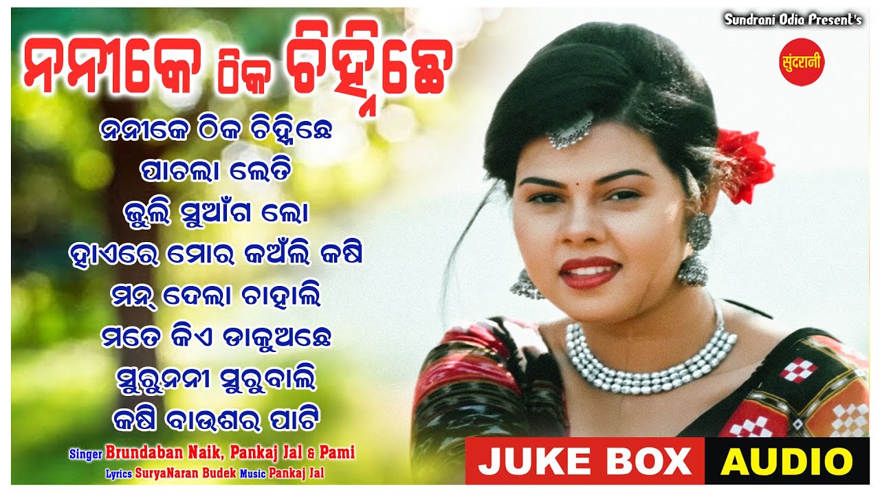 Nani Ke Thik Chinhi Chhe - Jukebox - New Sambalpuri Song 2023