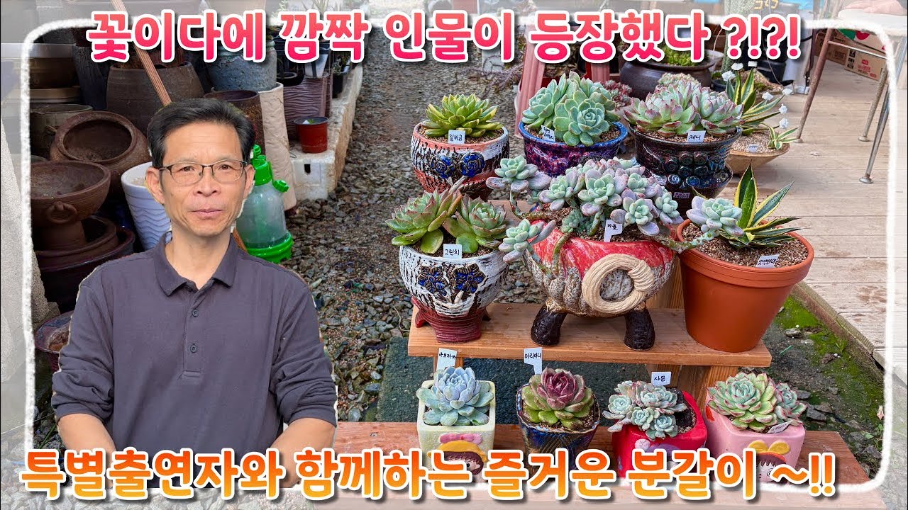 꽃이다에 등장한 깜짝 인물 ?! 기대되는 특별출연자와 언제나 즐거운 분갈이 시간 !! 다들 지금 바로 시청하러 오세요 !