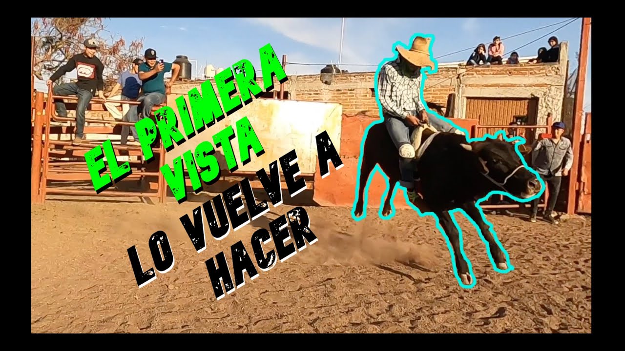 UN ESPANTA PAJAROS VS MI TORO 
