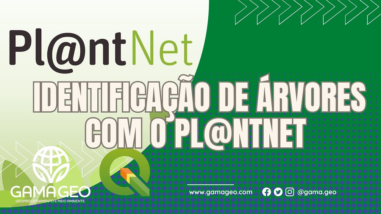 PlantNet App Review: The Best Tool for Identifying Trees?