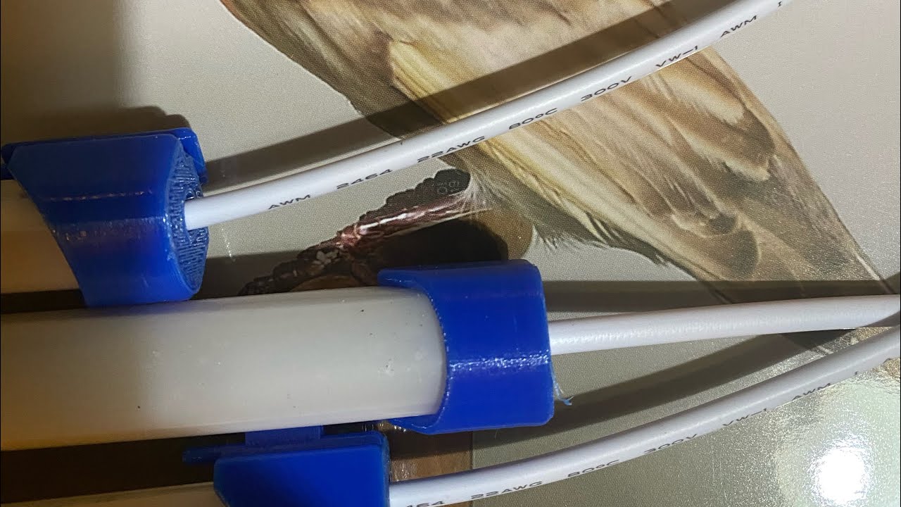 Canarini e luce sia !!!!