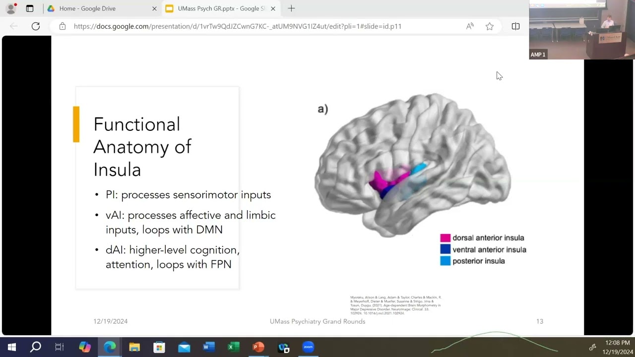 Phenomenological and Neurological Explanations of Psychosis Presented by Alexander Lichtenberg, M.D.