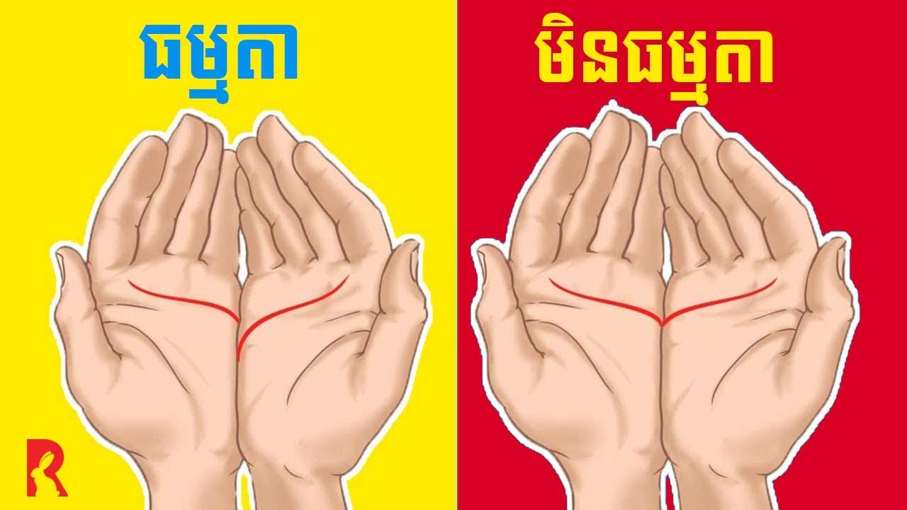 ខ្សែបាតដៃរបស់អ្នកអាចបញ្ជាក់ពីជីវិតនិងស្នេហា, Reading Palm Prediction