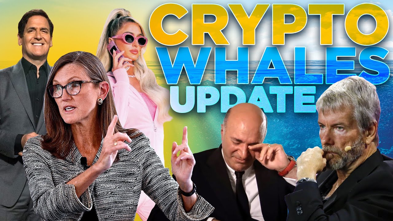 Crypto Whale Moves | UPDATE