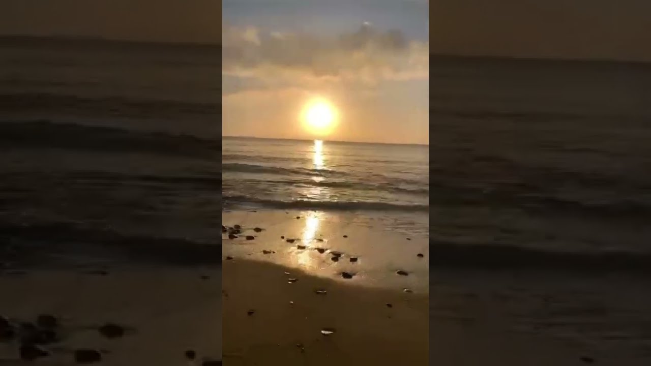 САЛОУ.🌴 2022. ВИД НА МОРЕ.