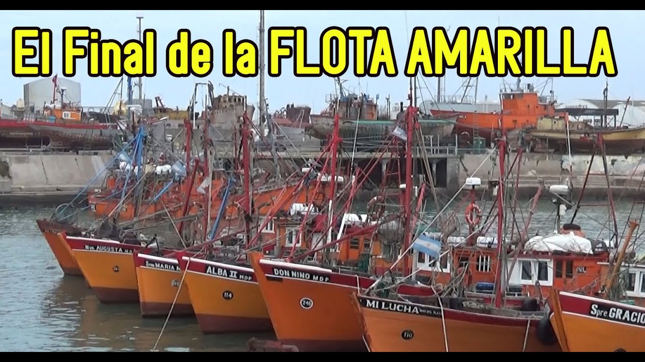La flota pesquera amarilla, tan característica del puerto de Mar del Plata tiende a desaparecer.