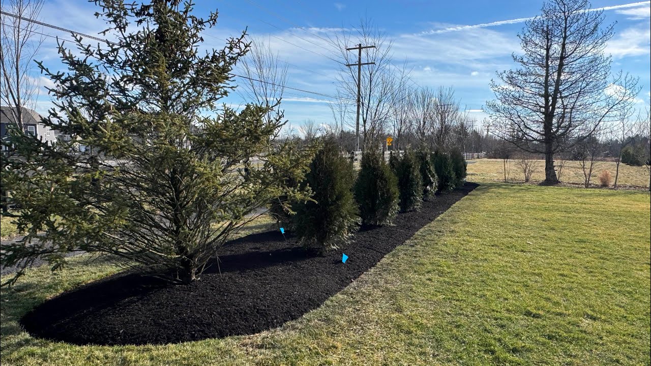 Installing a Mulch Bed & Planting 14 Trees | Full Landscape Transformation