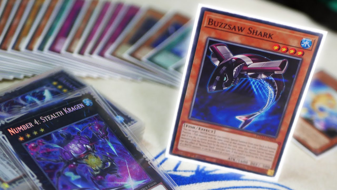 The NEXT Budget Meta Deck! | Shark/Water Control Deck Profile + Combo Tutorial & Budget Options