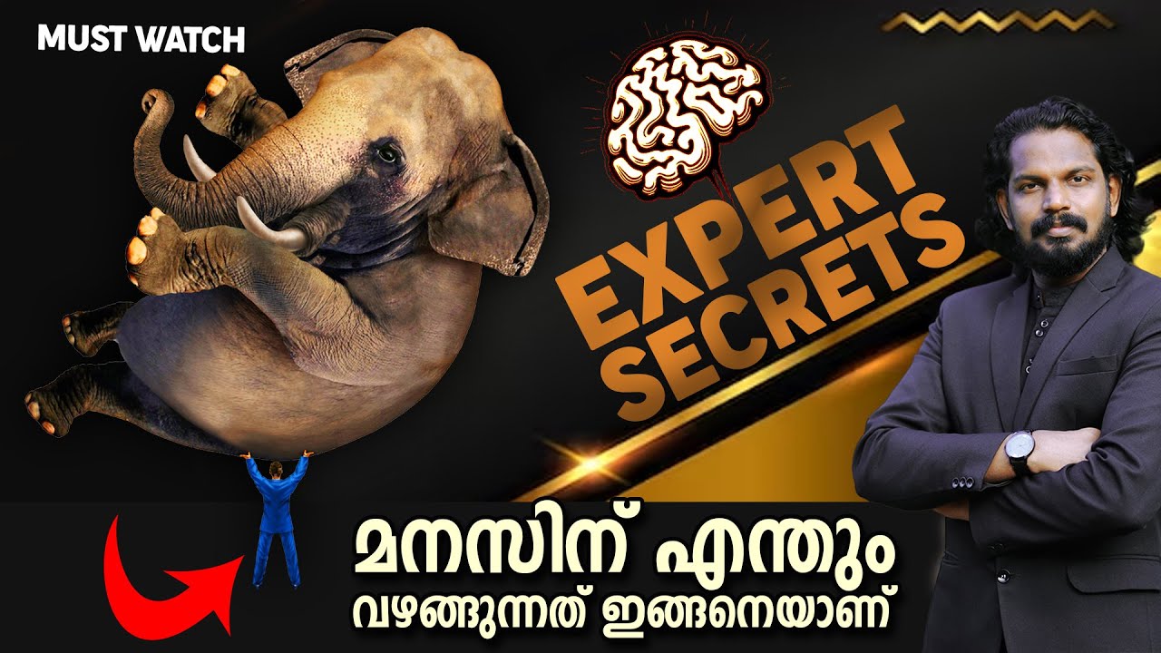 സംഘർഷത്തിൻ്റെ അപ്പുറത്തുള്ള സ്വർഗ്ഗം - BEST SELF PROGRESS TRAINING EVER - ANILKUMAR PC