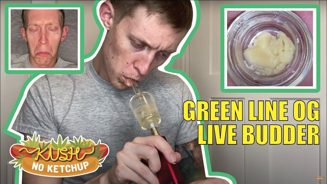 Green Line OG Live Budder | KUSH NO KETCHUP