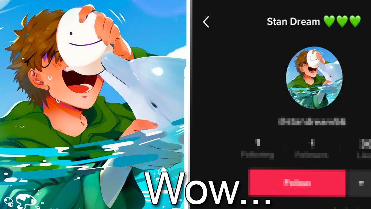 I Pretended To Be A Dream Stan on Tiktok AND THIS HAPPENED...