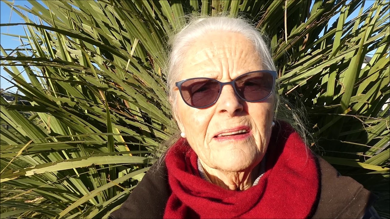 Faces of the Great New Zealand Pension Rip-Off (1.1): Long Version