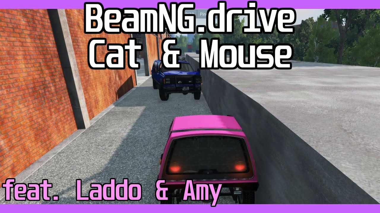 We played BeamNG Cat & Mouse