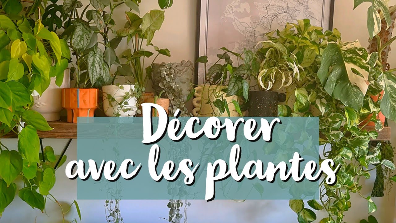 Plantes & déco 🏠🌿 - 5 astuces d'aménagement + tour de mes cache pots préférés !