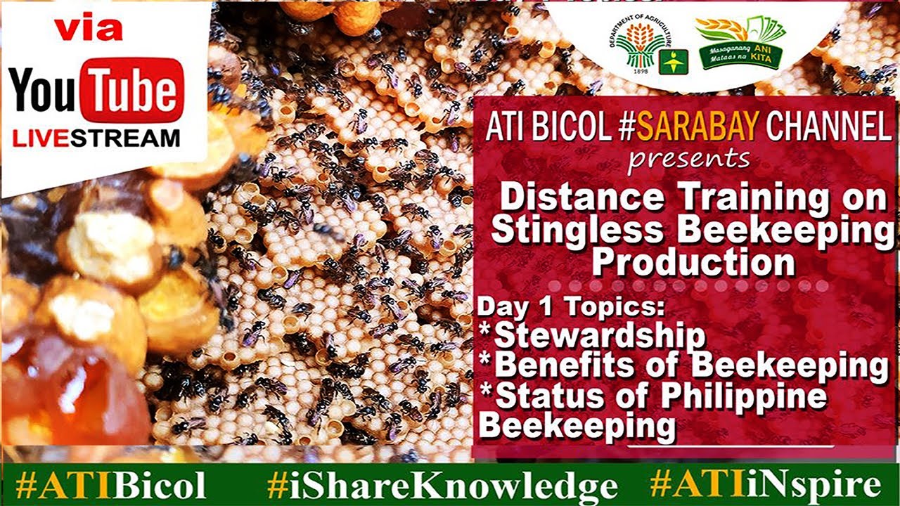 Episode 1 | Distance Training on Stingless Beekeeping Production