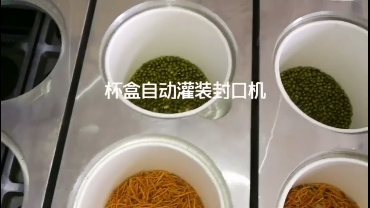 Automatic linear cup filling sealing closing packaging machine