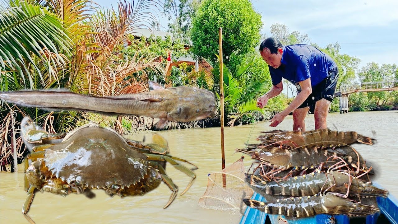 Đổ Lú Dưới Sông Chạy Con Cua Gạch Quá To 