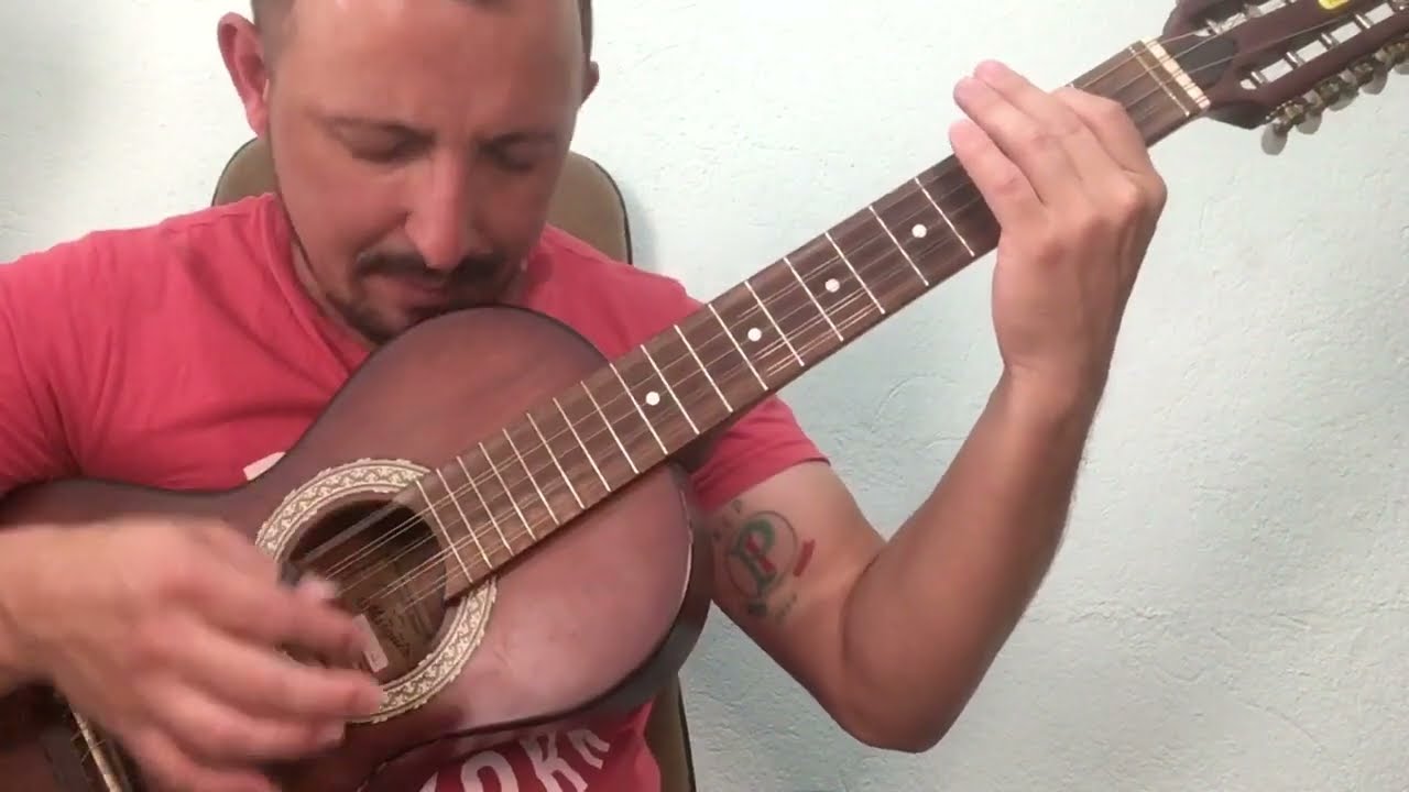 A VIOLA E A PESCARIA - GOIANO E PARANAENSE - VÍDEO AULA