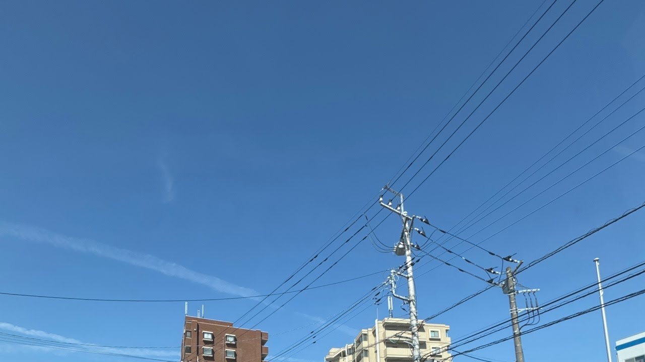 パスポート取りに　立川　配信中❗️あべしっ