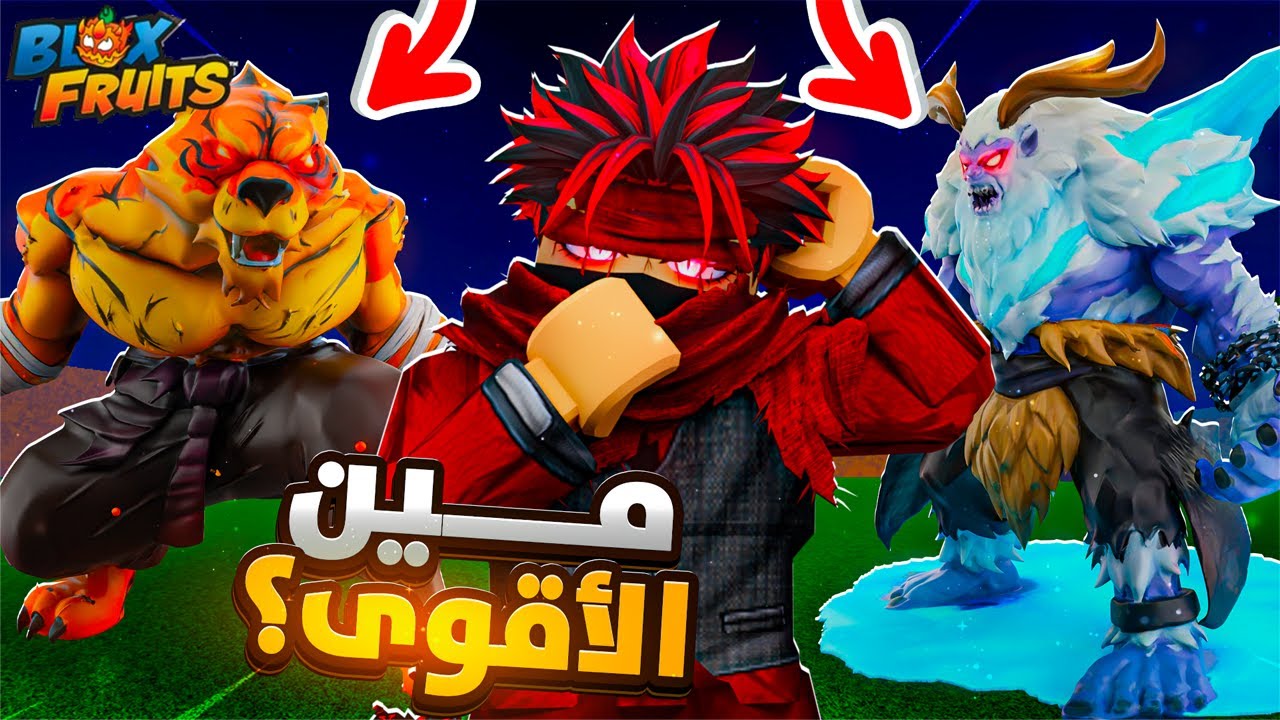 التايغر ضد اليتي… مين الوحش الاقوى فعلًا؟ 😱🔥 | بلوكس فروت