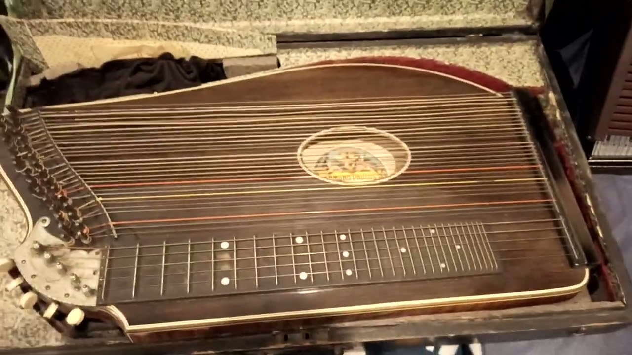 It just arrived! Concert Zither from Germany