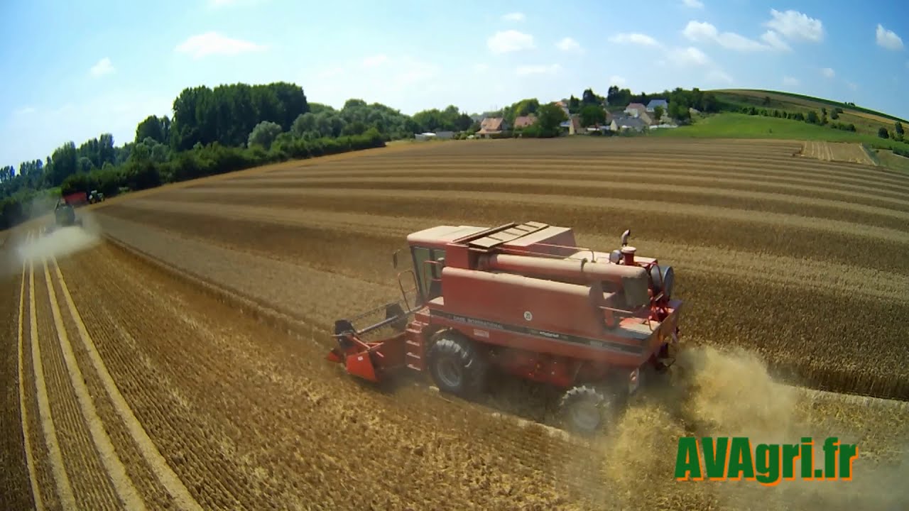 Moisson du blé hybride 2014.