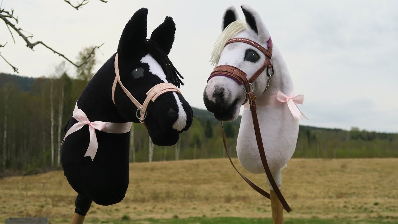 Bridle speedrun
