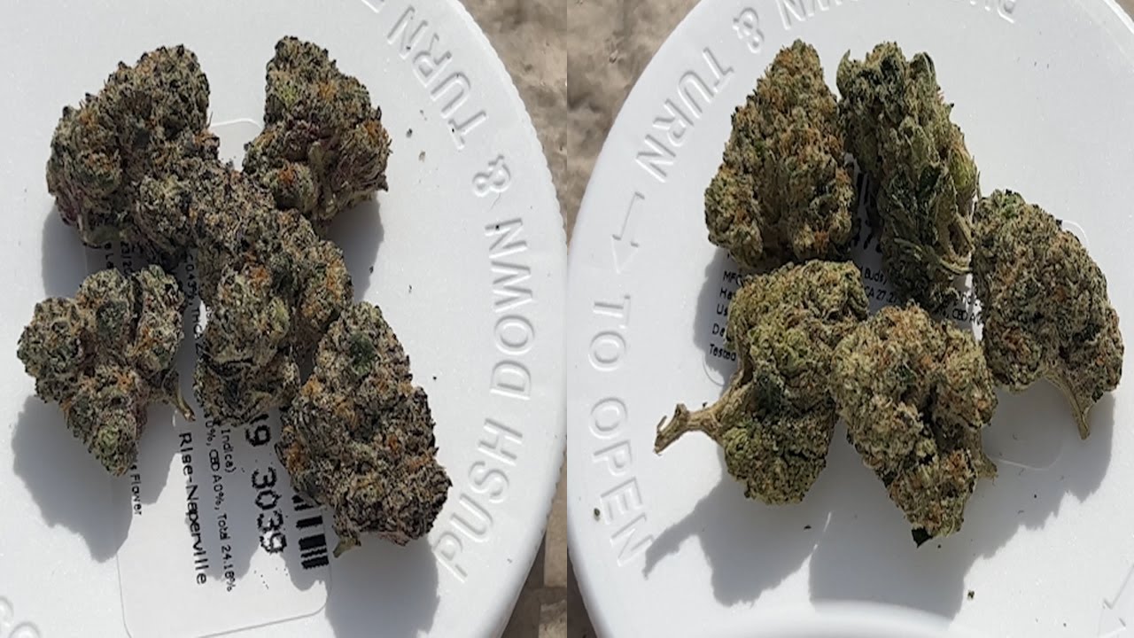 Rise Dispensary Review : Is It Worth It? (YES)