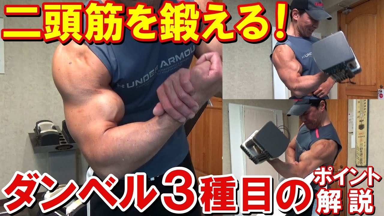 【筋トレ】ダンベル3種目で二頭筋がパンパンに！POF法で鍛えるトレーニングのポイントを解説！