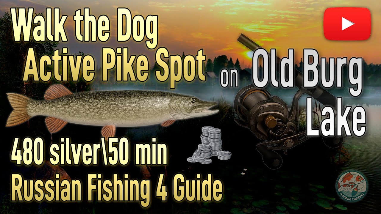 🐊 487 Silver in 50 Min?! Secret Pike Spot Revealed! | RF4 🎣🔥