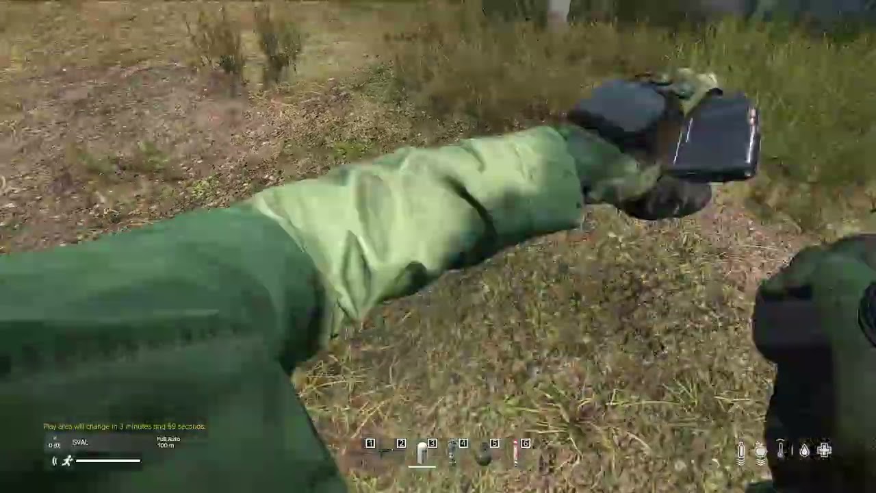 dayz pvp
