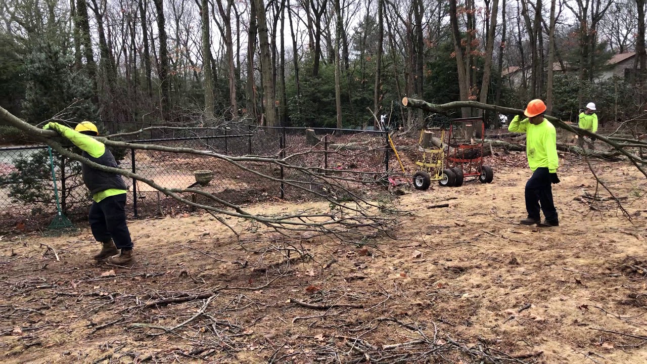 Dragging branches away for chipper
