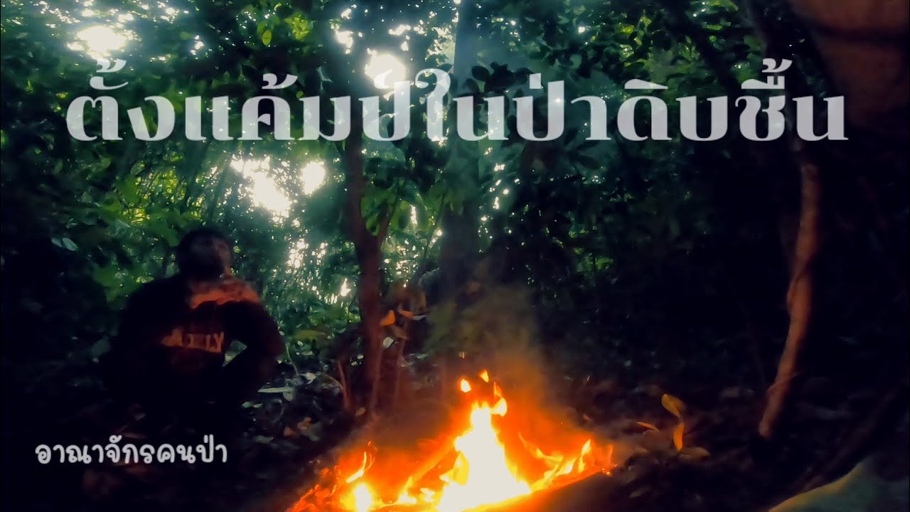 อาณาจักรคนป่า ep 27 เข้าป่าตั้งแคมป์ในป่าดิบชื้น หาปูปลากุ้งในกลางคืนมาทำอาหาร