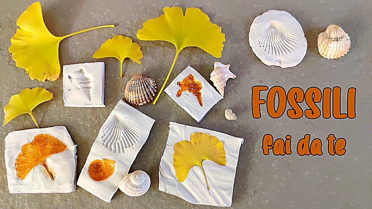 🐚🍁 FOSSILI FAI DA TE - Creare fossili preistorici con foglie e conchiglie (Storia, arte e scienze)