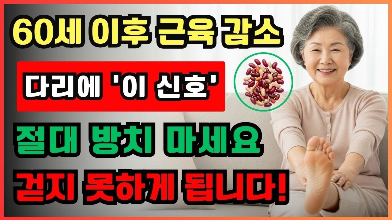 60세 이후 다리에 '이 신호' 보이면? 비싼 약 대신 '이 콩' 드세요! (근육 재생)