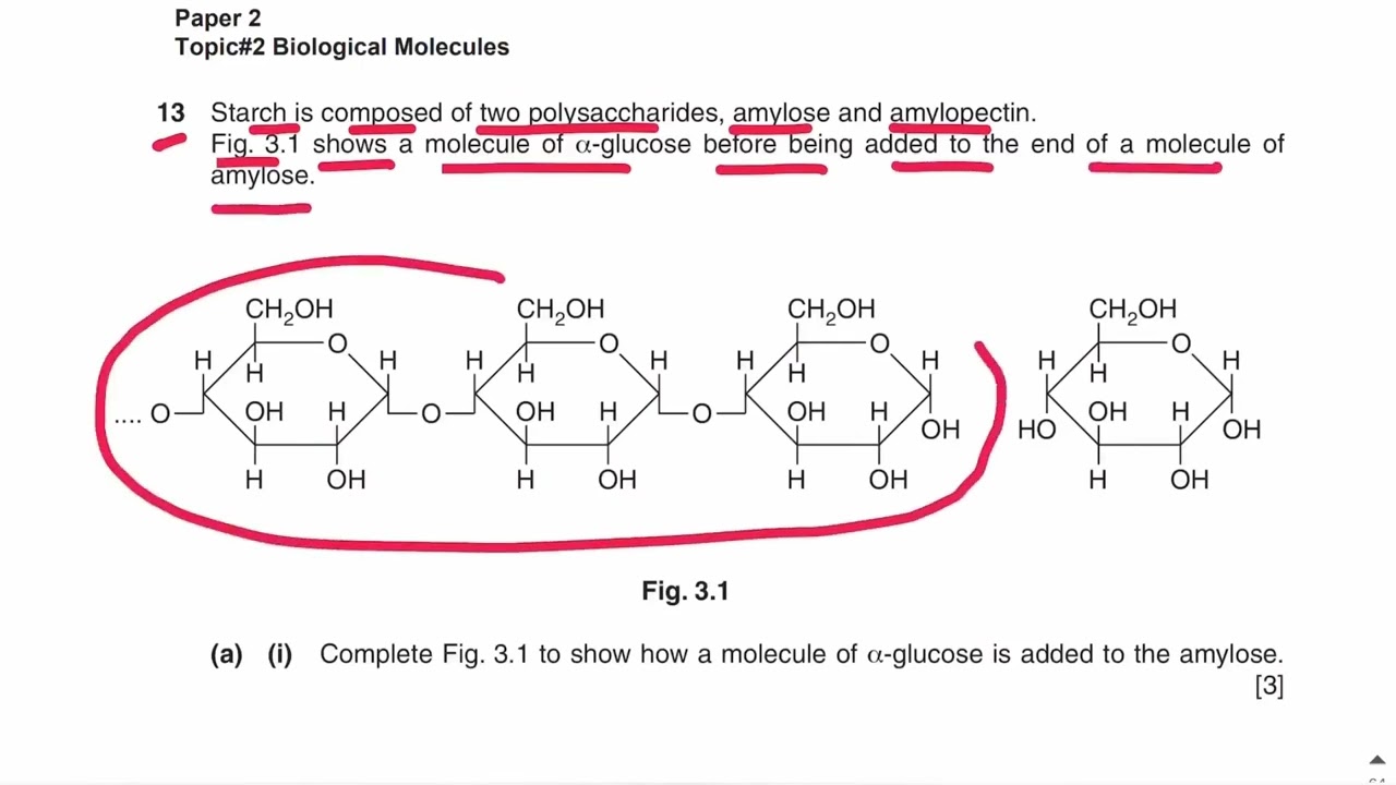 Biological molecules topical past papers paper 2 (part 1)