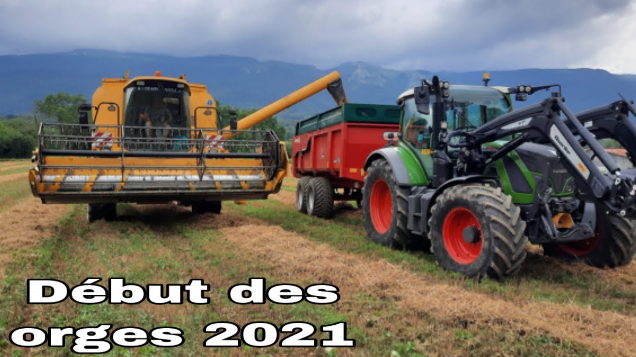 🇫🇷 Début moisson d’orge 🌾 / new holland tx 62